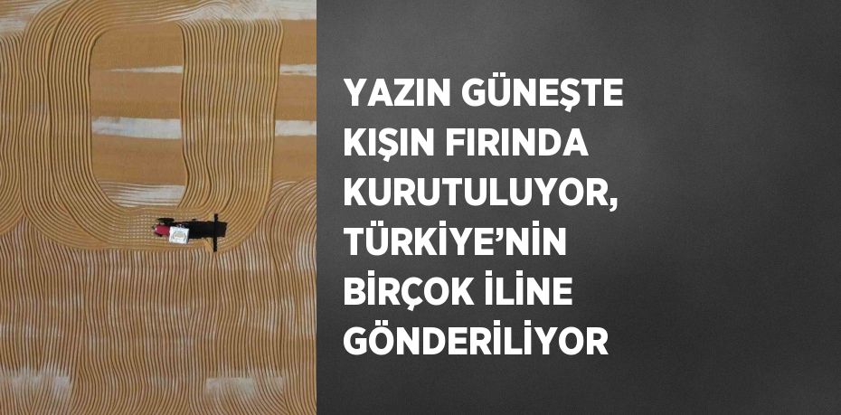 YAZIN GÜNEŞTE KIŞIN FIRINDA KURUTULUYOR, TÜRKİYE’NİN BİRÇOK İLİNE GÖNDERİLİYOR