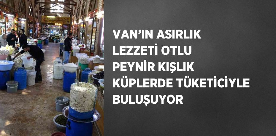 VAN’IN ASIRLIK LEZZETİ OTLU PEYNİR KIŞLIK KÜPLERDE TÜKETİCİYLE BULUŞUYOR