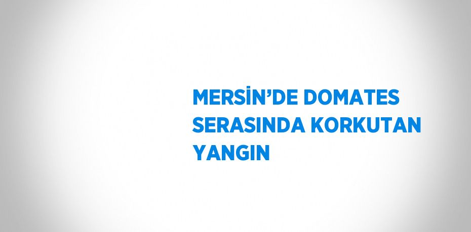 MERSİN’DE DOMATES SERASINDA KORKUTAN YANGIN