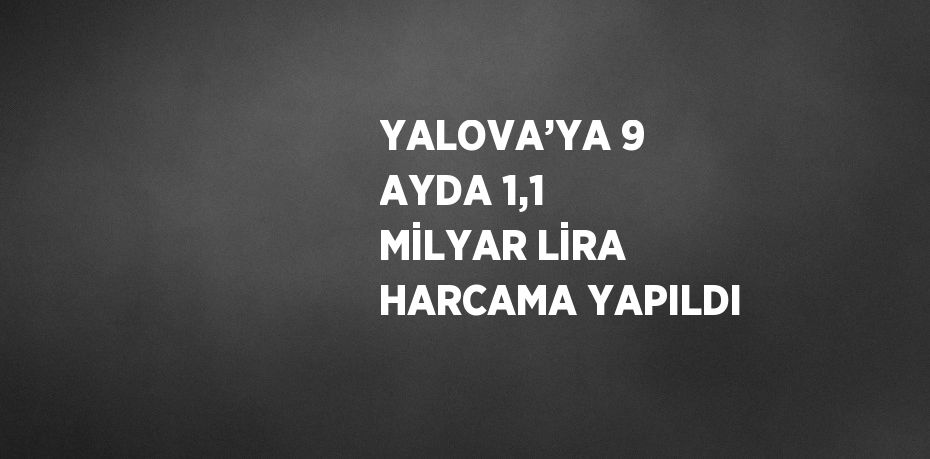 YALOVA’YA 9 AYDA 1,1 MİLYAR LİRA HARCAMA YAPILDI