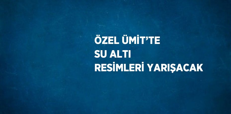 ÖZEL ÜMİT’TE SU ALTI RESİMLERİ YARIŞACAK