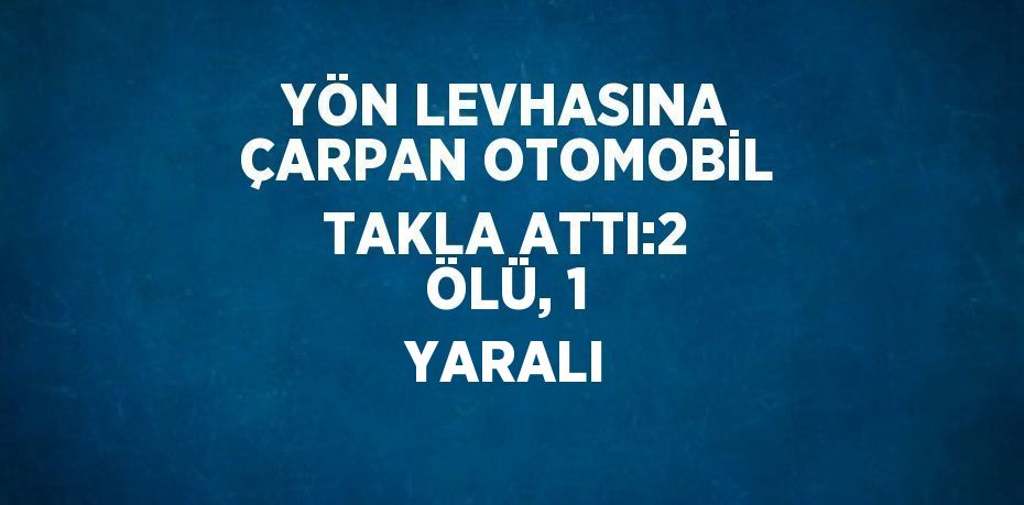 YÖN LEVHASINA ÇARPAN OTOMOBİL TAKLA ATTI:2 ÖLÜ, 1 YARALI