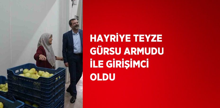 HAYRİYE TEYZE GÜRSU ARMUDU İLE GİRİŞİMCİ OLDU