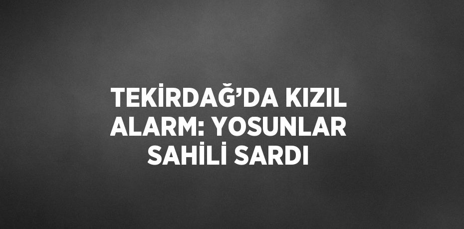 TEKİRDAĞ’DA KIZIL ALARM: YOSUNLAR SAHİLİ SARDI