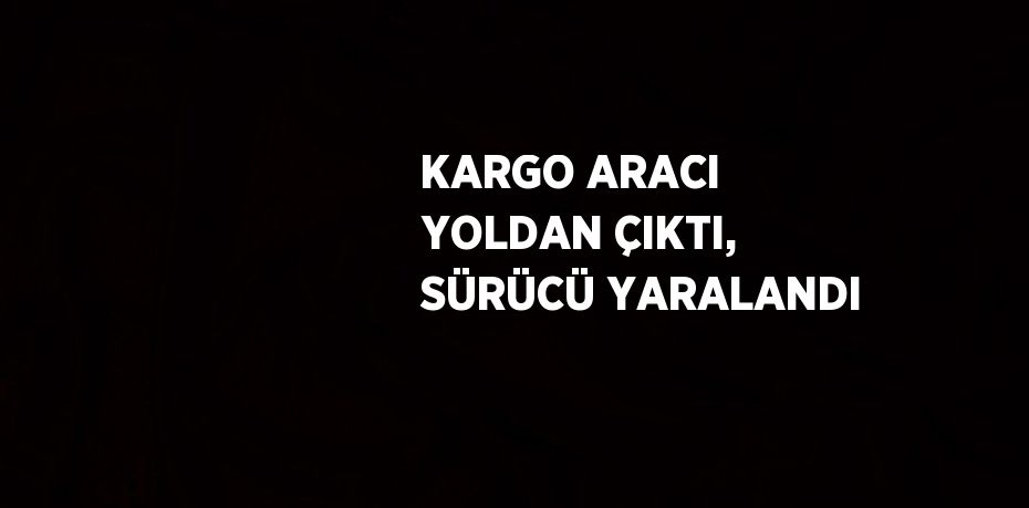 KARGO ARACI YOLDAN ÇIKTI, SÜRÜCÜ YARALANDI