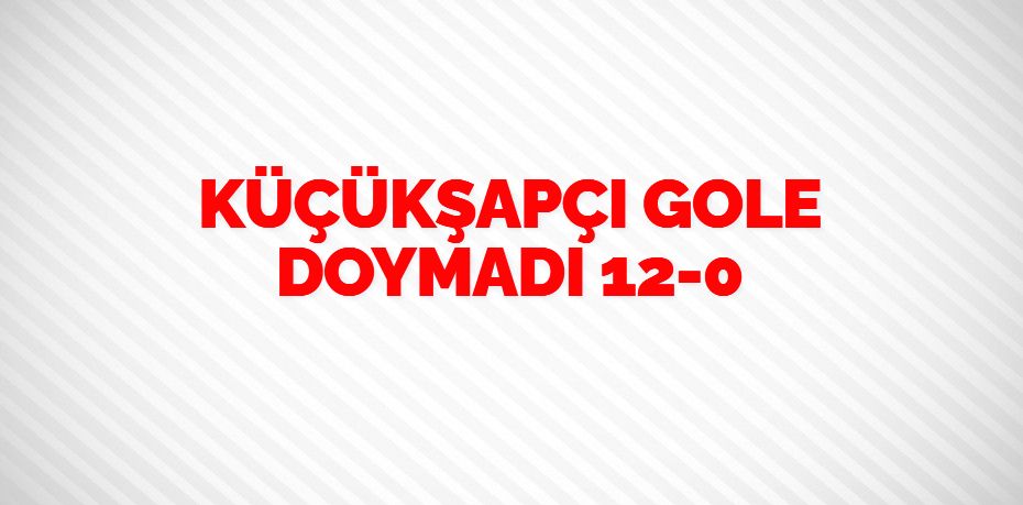 KÜÇÜKŞAPÇI GOLE DOYMADI   12-0