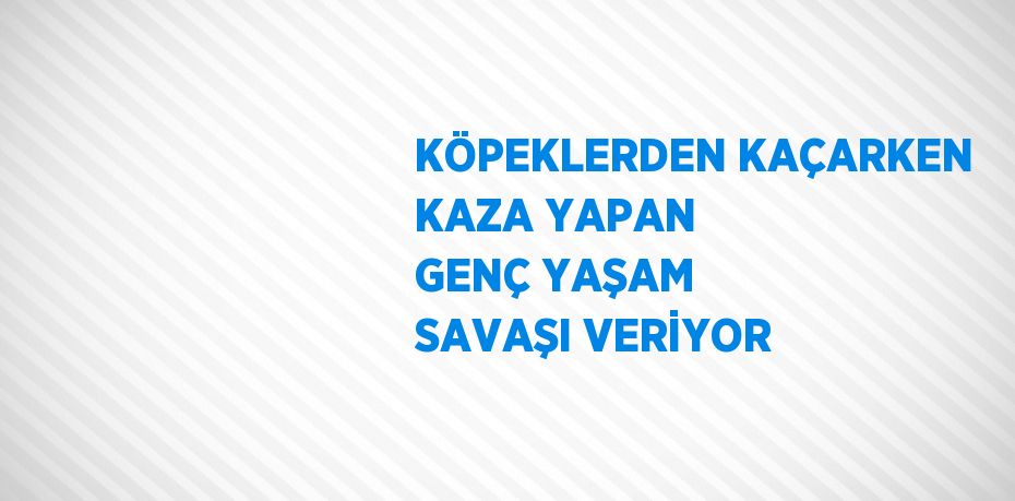 KÖPEKLERDEN KAÇARKEN KAZA YAPAN GENÇ YAŞAM SAVAŞI VERİYOR