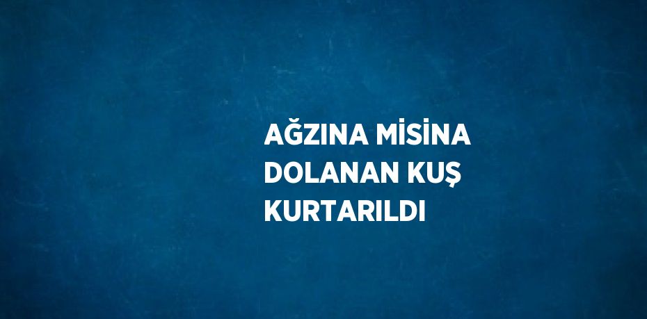 AĞZINA MİSİNA DOLANAN KUŞ KURTARILDI