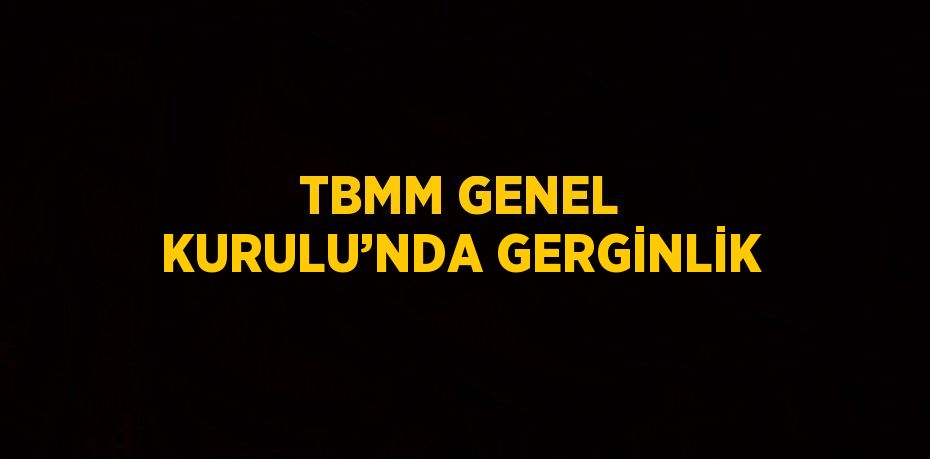 TBMM GENEL KURULU’NDA GERGİNLİK