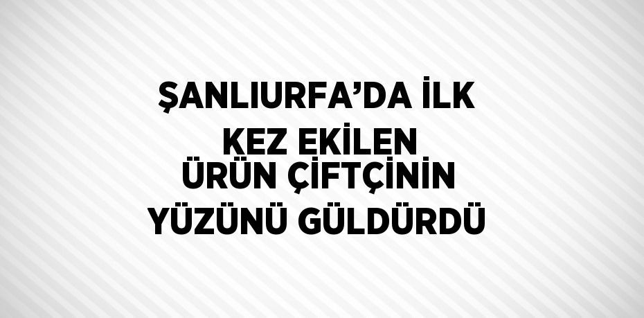 ŞANLIURFA’DA İLK KEZ EKİLEN ÜRÜN ÇİFTÇİNİN YÜZÜNÜ GÜLDÜRDÜ