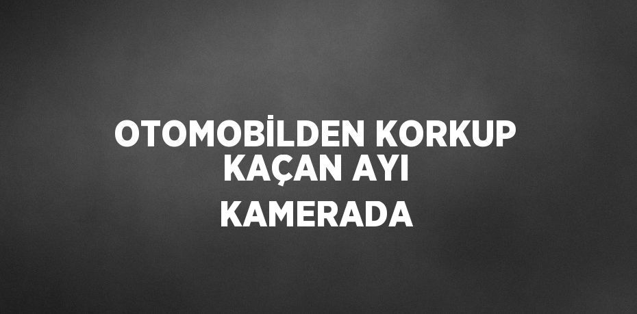 OTOMOBİLDEN KORKUP KAÇAN AYI KAMERADA