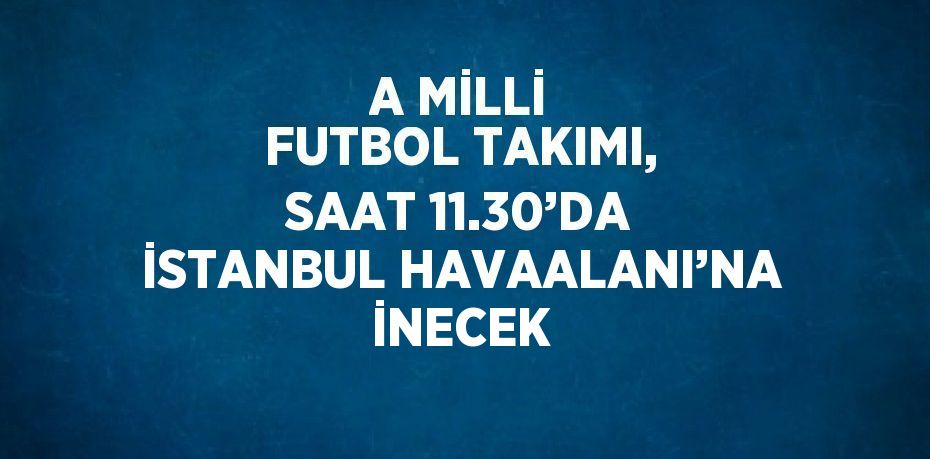 A MİLLİ FUTBOL TAKIMI, SAAT 11.30’DA İSTANBUL HAVAALANI’NA İNECEK