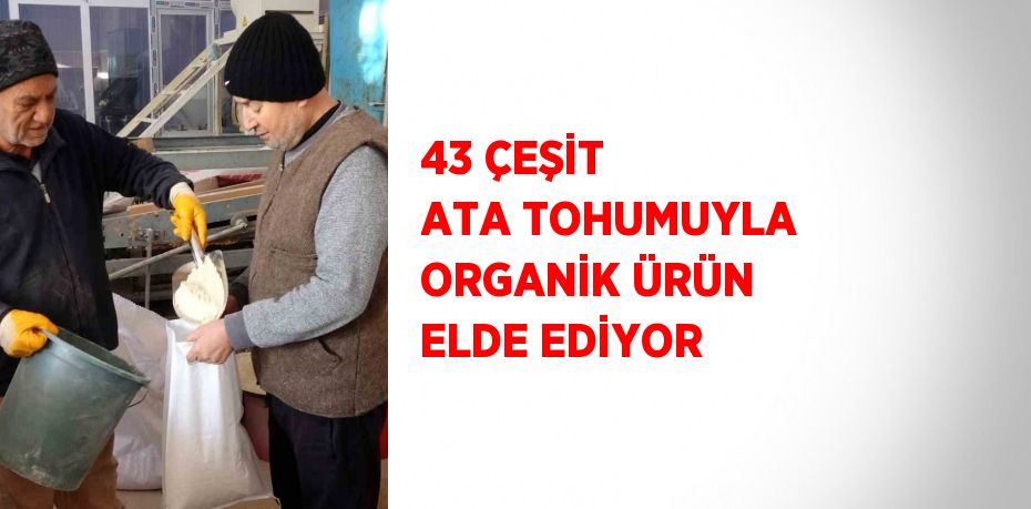 43 ÇEŞİT ATA TOHUMUYLA ORGANİK ÜRÜN ELDE EDİYOR