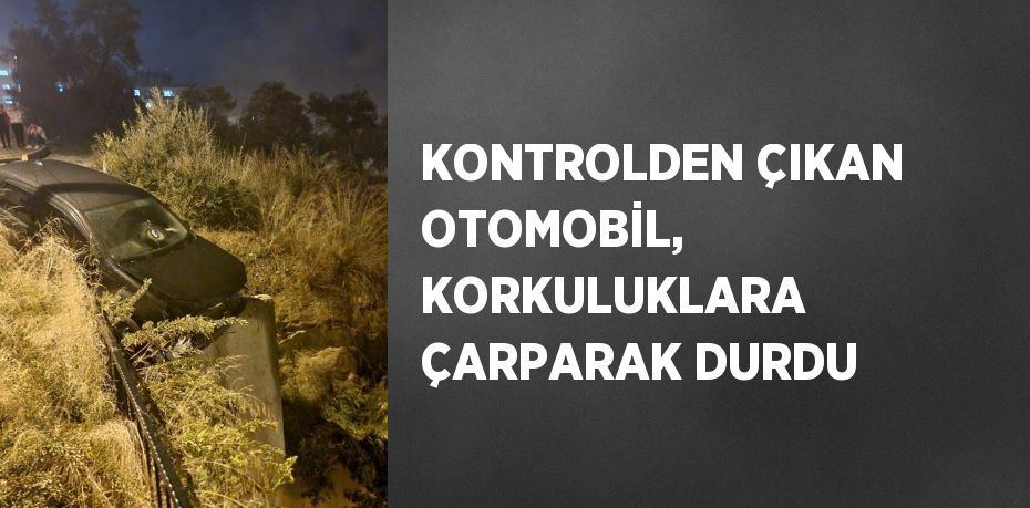 KONTROLDEN ÇIKAN OTOMOBİL, KORKULUKLARA ÇARPARAK DURDU