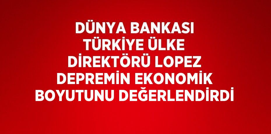 DÜNYA BANKASI TÜRKİYE ÜLKE DİREKTÖRÜ LOPEZ DEPREMİN EKONOMİK BOYUTUNU DEĞERLENDİRDİ