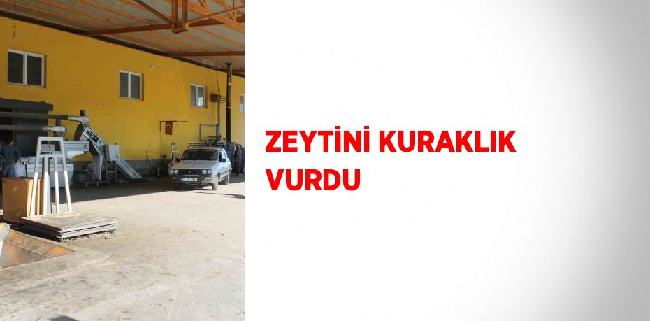 ZEYTİNİ KURAKLIK VURDU