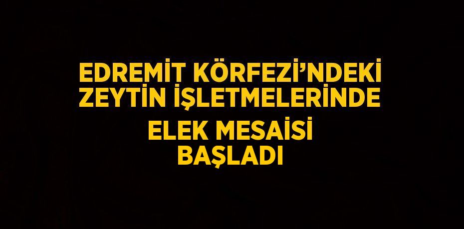 EDREMİT KÖRFEZİ’NDEKİ ZEYTİN İŞLETMELERİNDE ELEK MESAİSİ BAŞLADI