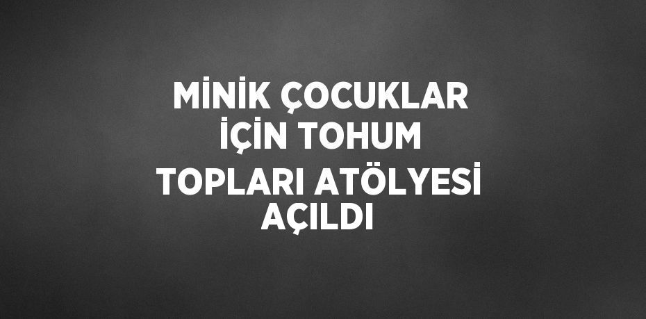 MİNİK ÇOCUKLAR İÇİN TOHUM TOPLARI ATÖLYESİ AÇILDI