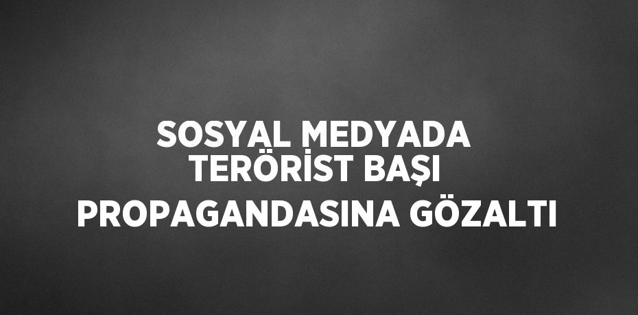 SOSYAL MEDYADA TERÖRİST BAŞI PROPAGANDASINA GÖZALTI