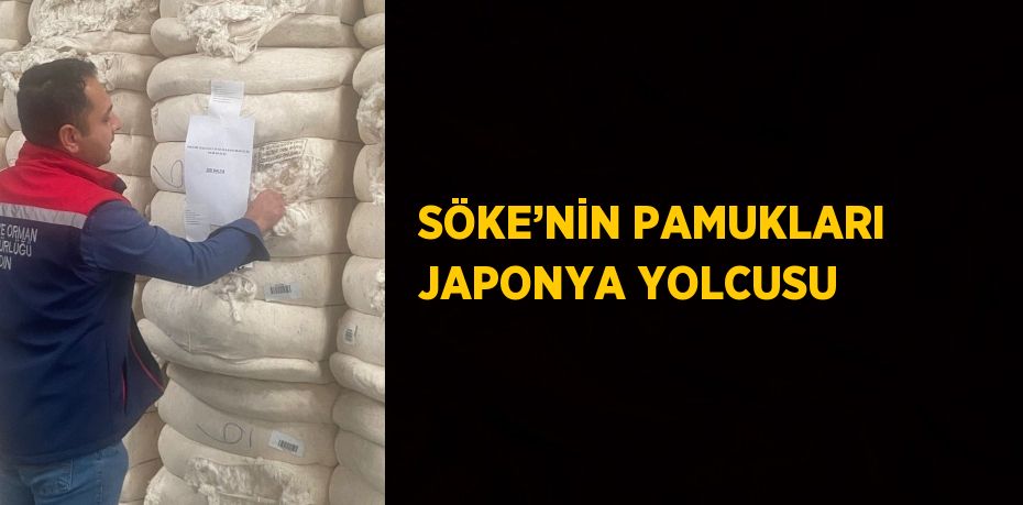 SÖKE’NİN PAMUKLARI JAPONYA YOLCUSU