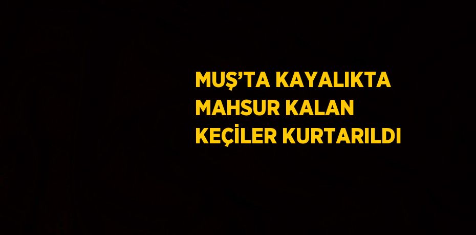 MUŞ’TA KAYALIKTA MAHSUR KALAN KEÇİLER KURTARILDI