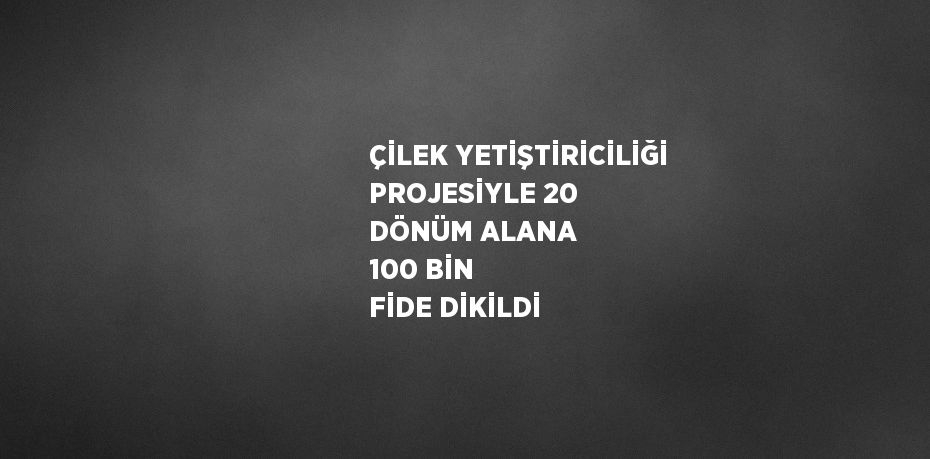 ÇİLEK YETİŞTİRİCİLİĞİ PROJESİYLE 20 DÖNÜM ALANA 100 BİN FİDE DİKİLDİ