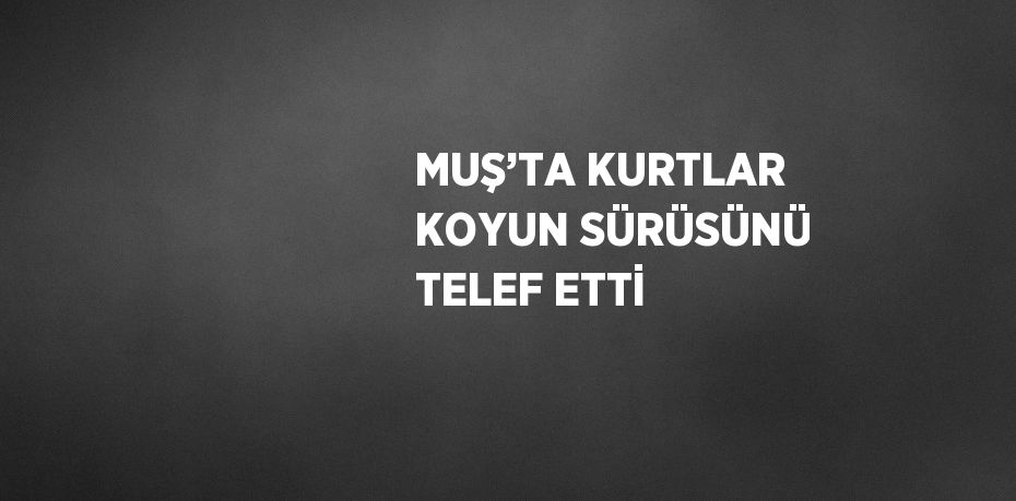 MUŞ’TA KURTLAR KOYUN SÜRÜSÜNÜ TELEF ETTİ