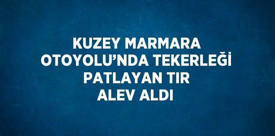 KUZEY MARMARA OTOYOLU’NDA TEKERLEĞİ PATLAYAN TIR ALEV ALDI