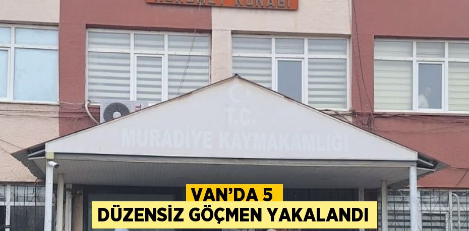 VAN’DA 5 DÜZENSİZ GÖÇMEN YAKALANDI