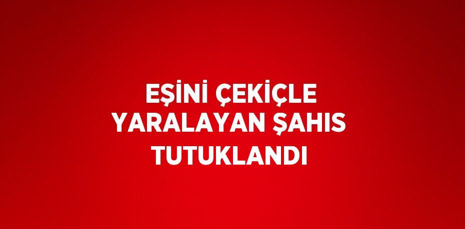 EŞİNİ ÇEKİÇLE YARALAYAN ŞAHIS TUTUKLANDI