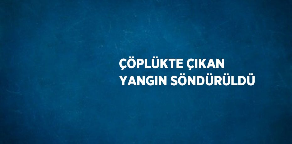 ÇÖPLÜKTE ÇIKAN YANGIN SÖNDÜRÜLDÜ