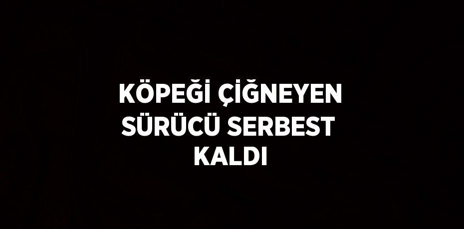 KÖPEĞİ ÇİĞNEYEN SÜRÜCÜ SERBEST KALDI