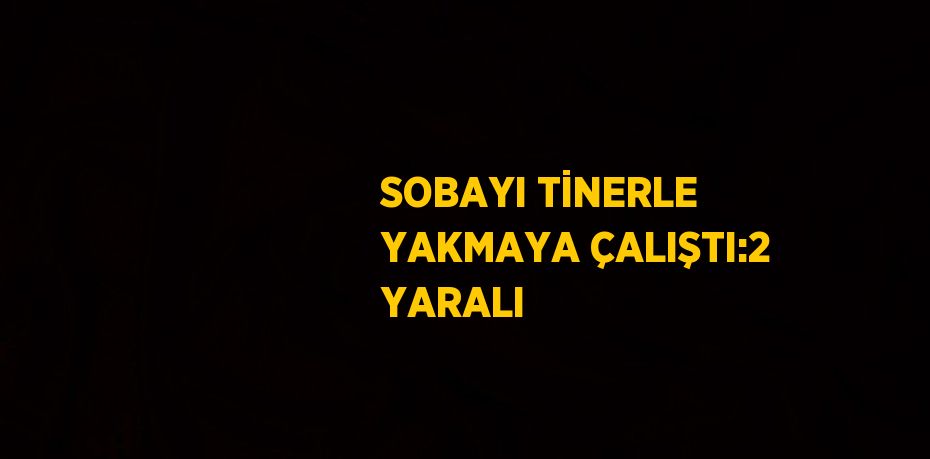 SOBAYI TİNERLE YAKMAYA ÇALIŞTI:2 YARALI