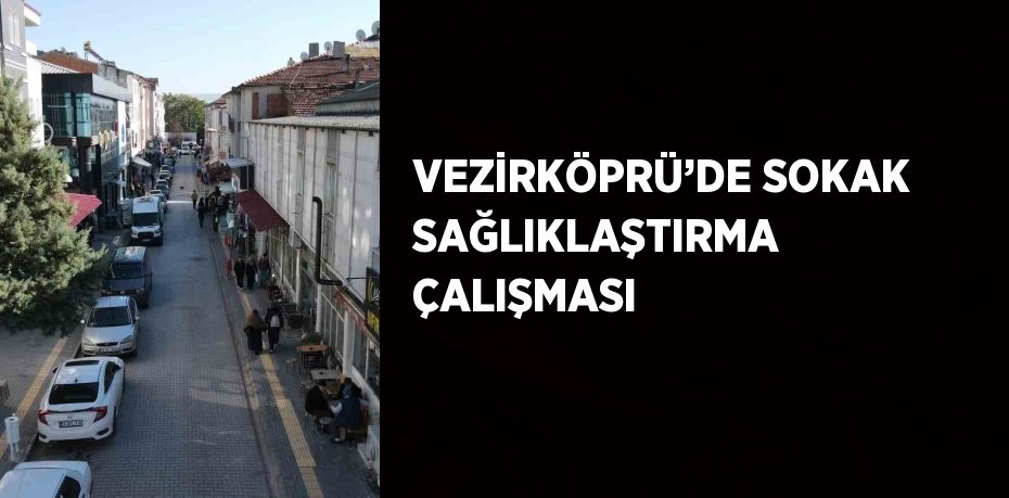 VEZİRKÖPRÜ’DE SOKAK SAĞLIKLAŞTIRMA ÇALIŞMASI