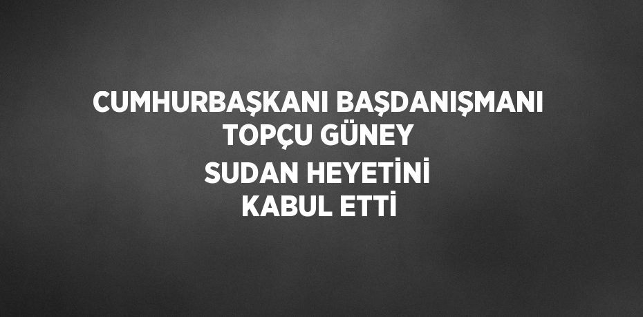 CUMHURBAŞKANI BAŞDANIŞMANI TOPÇU GÜNEY SUDAN HEYETİNİ KABUL ETTİ