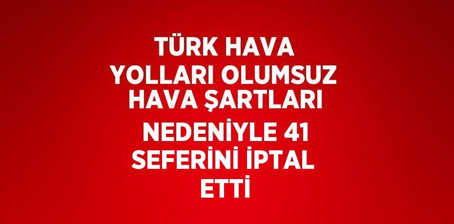 TÜRK HAVA YOLLARI OLUMSUZ HAVA ŞARTLARI NEDENİYLE 41 SEFERİNİ İPTAL ETTİ