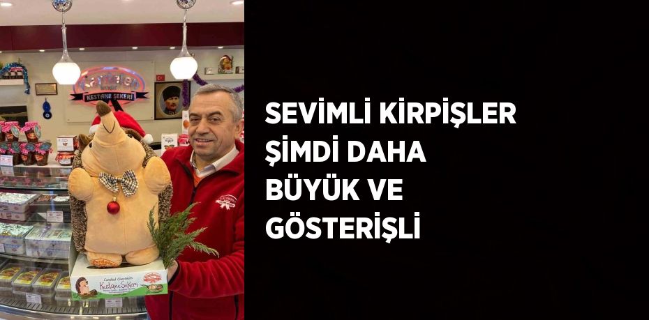 SEVİMLİ KİRPİŞLER ŞİMDİ DAHA BÜYÜK VE GÖSTERİŞLİ