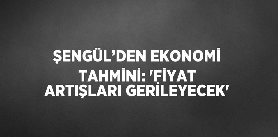 ŞENGÜL’DEN EKONOMİ TAHMİNİ: 'FİYAT ARTIŞLARI GERİLEYECEK'