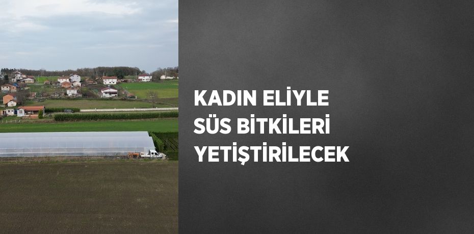 KADIN ELİYLE SÜS BİTKİLERİ YETİŞTİRİLECEK