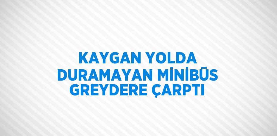 KAYGAN YOLDA DURAMAYAN MİNİBÜS GREYDERE ÇARPTI