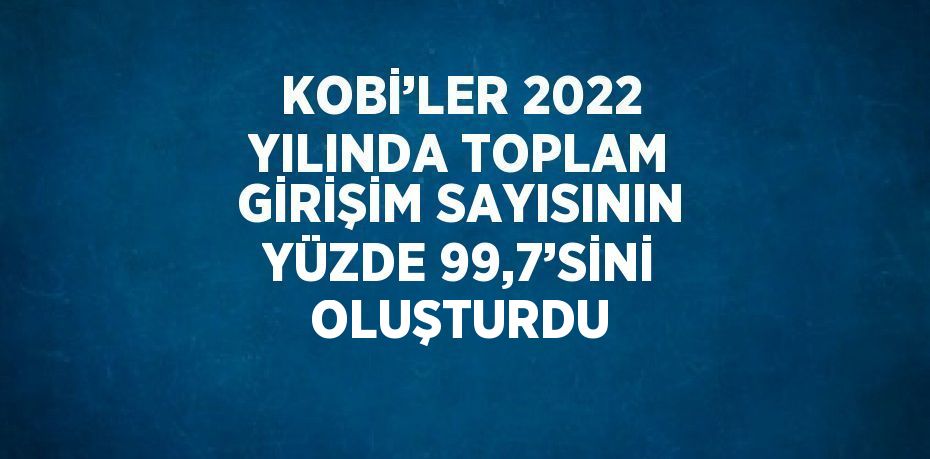 KOBİ’LER 2022 YILINDA TOPLAM GİRİŞİM SAYISININ YÜZDE 99,7’SİNİ OLUŞTURDU