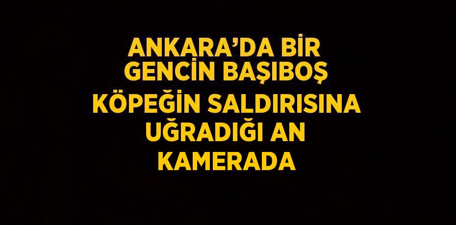 ANKARA’DA BİR GENCİN BAŞIBOŞ KÖPEĞİN SALDIRISINA UĞRADIĞI AN KAMERADA