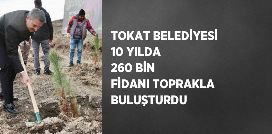 TOKAT BELEDİYESİ 10 YILDA 260 BİN FİDANI TOPRAKLA BULUŞTURDU