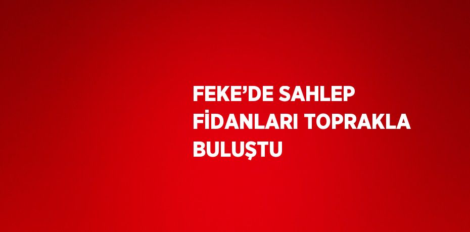 FEKE’DE SAHLEP FİDANLARI TOPRAKLA BULUŞTU