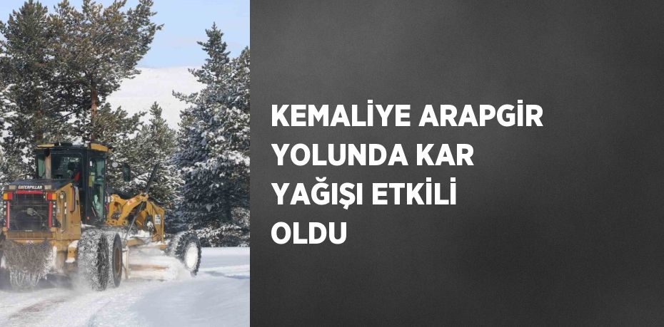 KEMALİYE ARAPGİR YOLUNDA KAR YAĞIŞI ETKİLİ OLDU