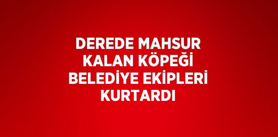 DEREDE MAHSUR KALAN KÖPEĞİ BELEDİYE EKİPLERİ KURTARDI