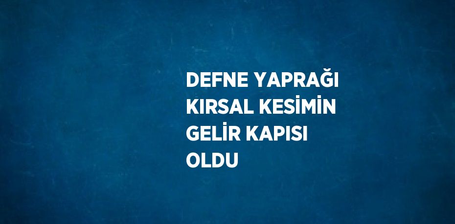 DEFNE YAPRAĞI KIRSAL KESİMİN GELİR KAPISI OLDU