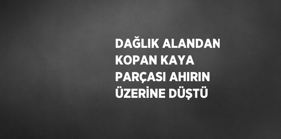 DAĞLIK ALANDAN KOPAN KAYA PARÇASI AHIRIN ÜZERİNE DÜŞTÜ