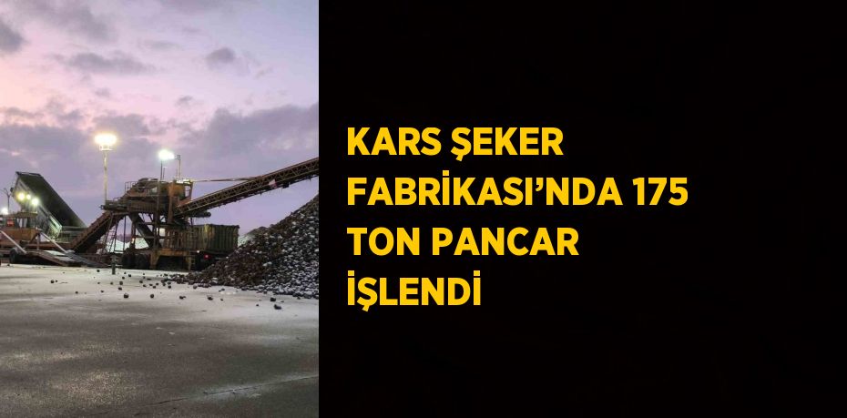 KARS ŞEKER FABRİKASI’NDA 175 TON PANCAR İŞLENDİ