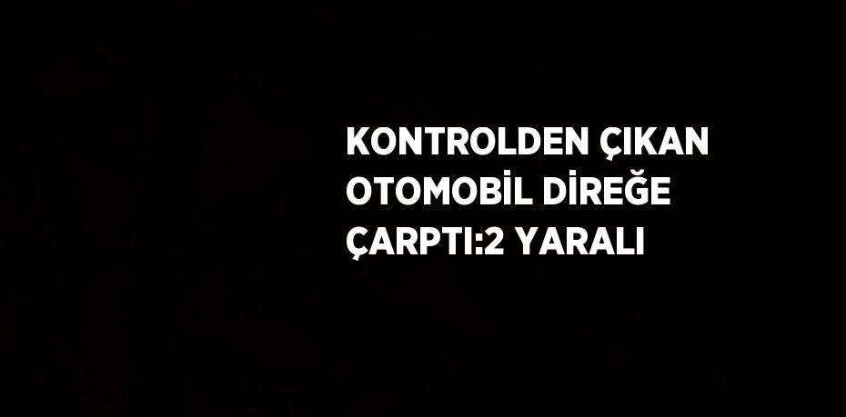 KONTROLDEN ÇIKAN OTOMOBİL DİREĞE ÇARPTI:2 YARALI